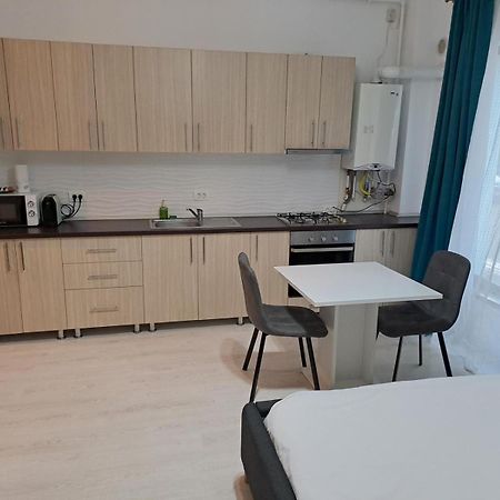 Visaj Residence Timisoara Esterno foto